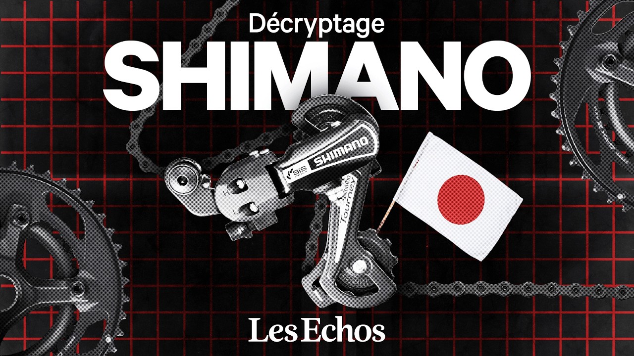 2-velos-sur-3-dependent-de-cette-entreprise-japonaise