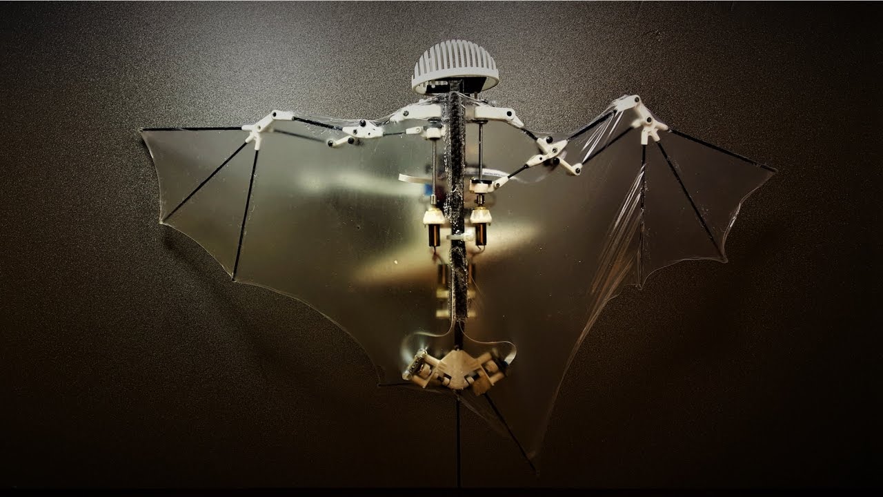 Advanced-Robotic-Bat-Can-Fly-Like-the-Real-Thing