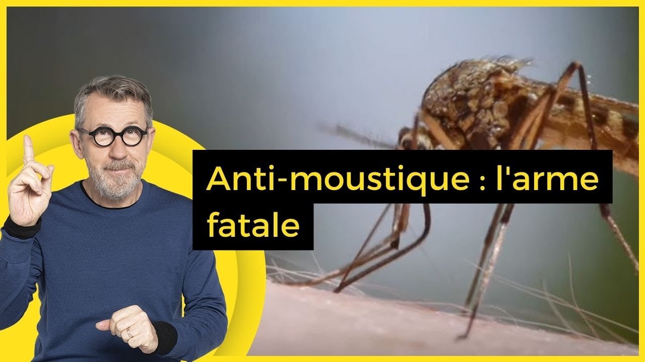 Anti-moustique-larme-fatale-C-Jamy