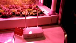 Faire-pousser-ses-plantes-avec-Growbox-au-CES-2017