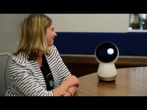 Jibo-Early-Stage-Demo