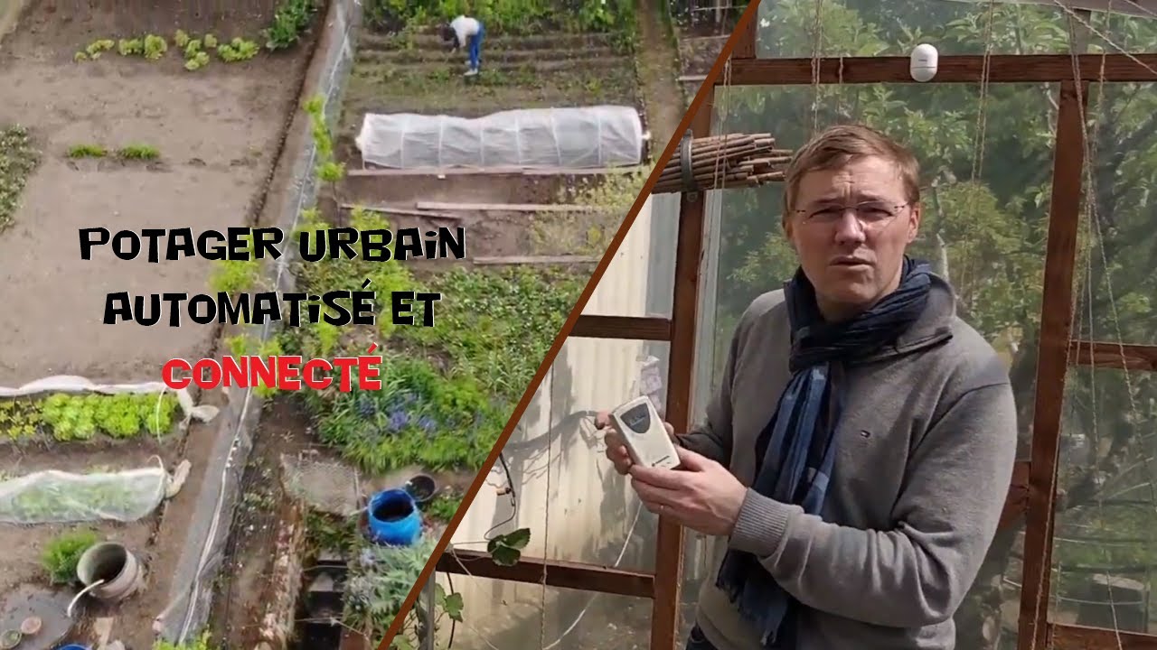 Mon-potager-automatise-Un-potager-urbain-totalement-connecte-Brico-info