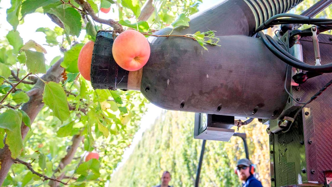 Robotic-apple-picker-trials-continue-in-Washington