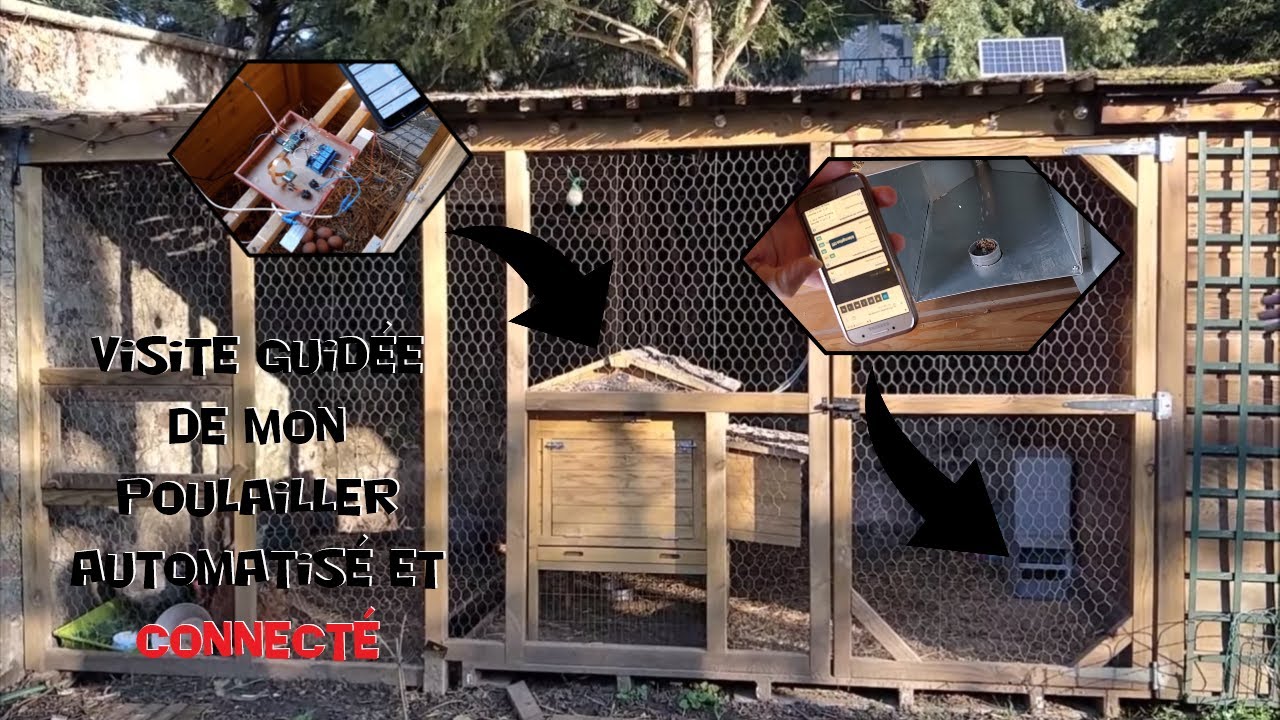 Visite-guidee-de-mon-poulailler-automatise-et-connecte-Brico-info
