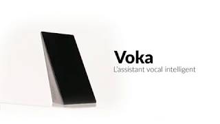 Voka-Lassistant-vocal-intelligent