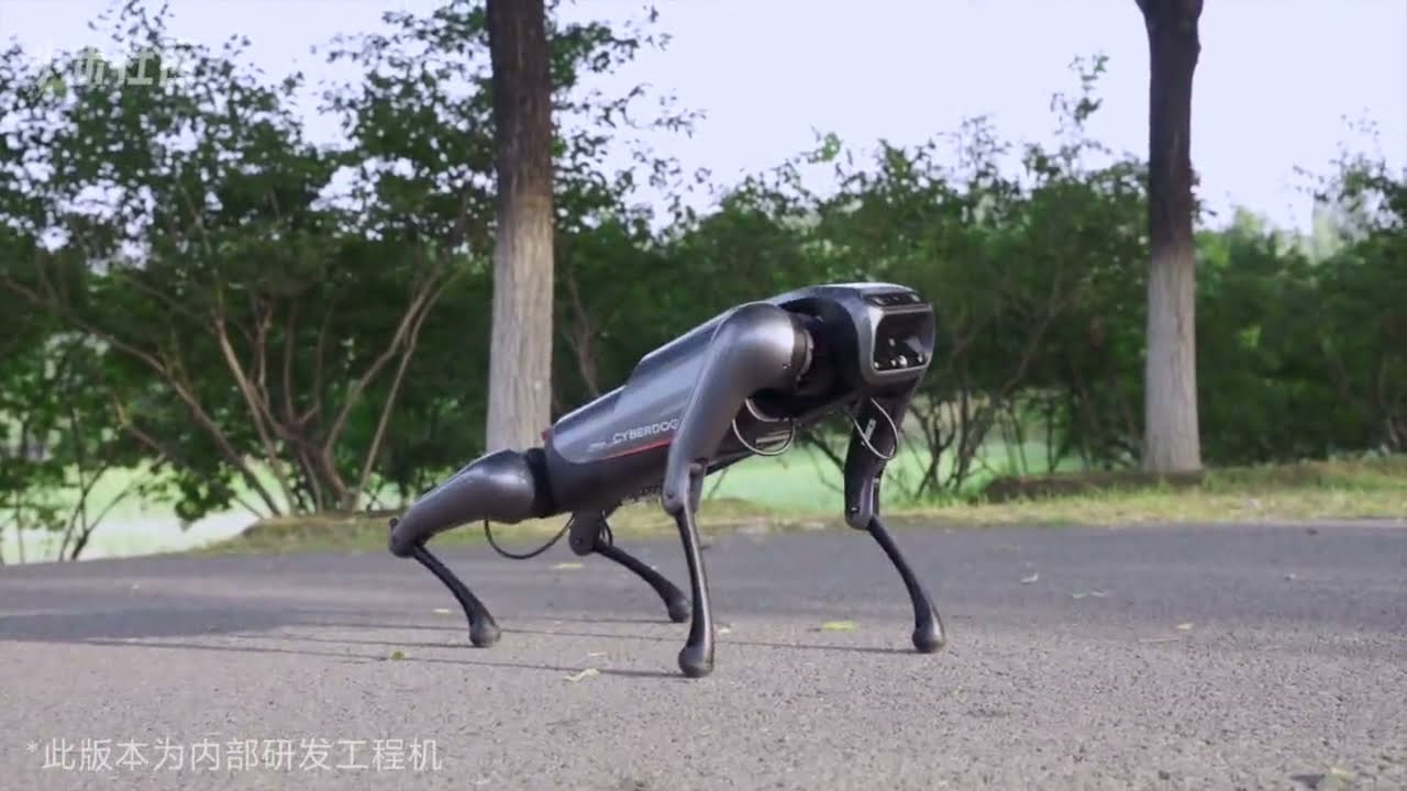 Xiaomi-CyberDog-Real-life-Demo